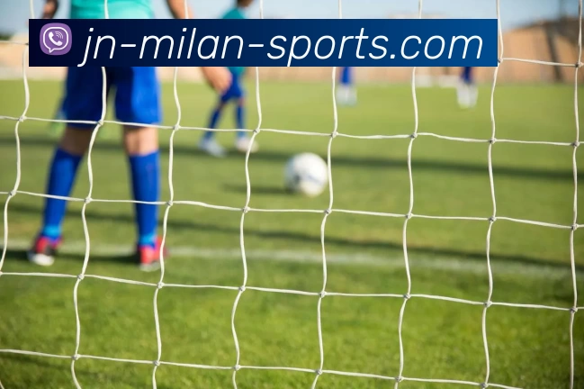 米兰体育平台生态图